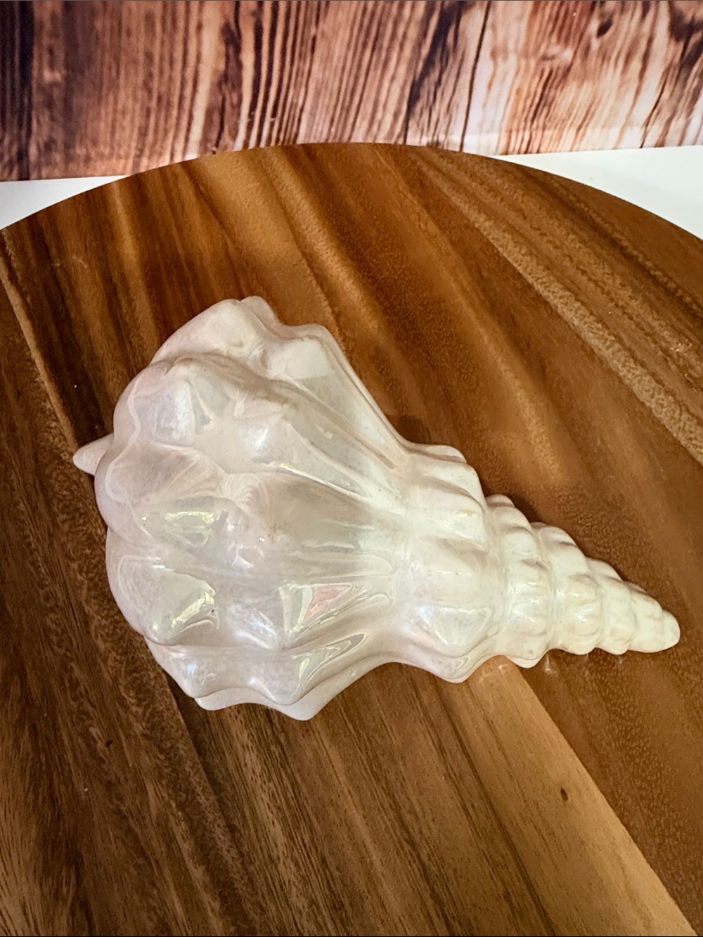 Iridescent Ceramic Conch Shell Décor - Pearlescent White
